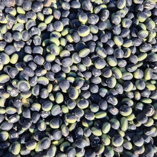 오봉세님의 자유주제 · 자유게시판 작성글 사진