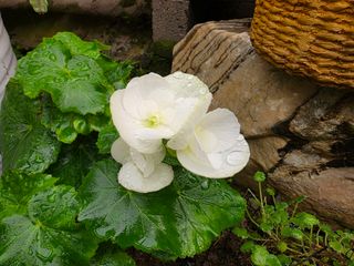 달맛햇복숭아농원님의 자유주제 · 사진전 작성글 사진