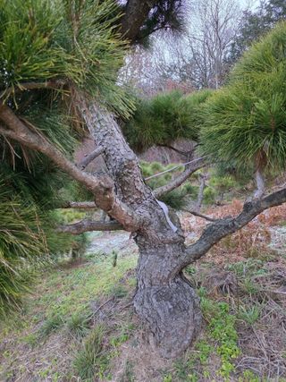 작은소나무님의 자유주제 · 사진전 작성글 사진