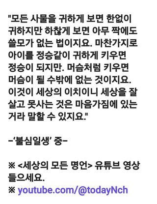 (팽나무*공주)님의 자유주제 · 자유게시판 작성글 사진