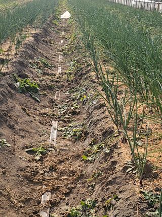수기님의 자유주제 · 자유게시판 작성글 사진