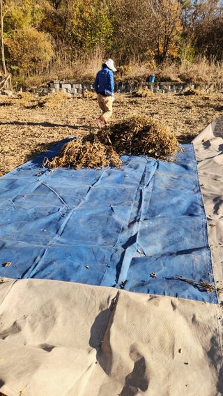 치악산골농부님의 작성글 사진