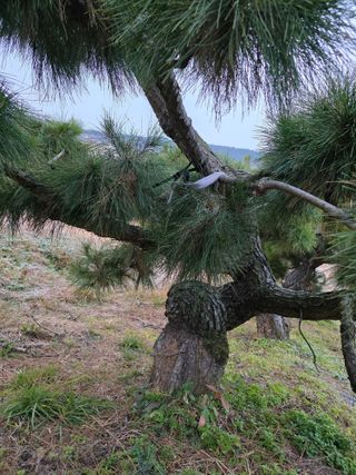 작은소나무님의 자유주제 · 사진전 작성글 사진