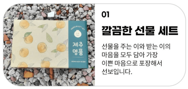 스피드번님의 장터 판매 상품 [제주직송 한라봉] 첨부 사진