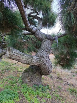 작은소나무님의 자유주제 · 사진전 작성글 사진