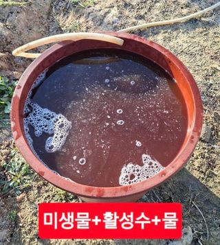 김중언님의 자유주제 · 자유게시판 작성글 사진