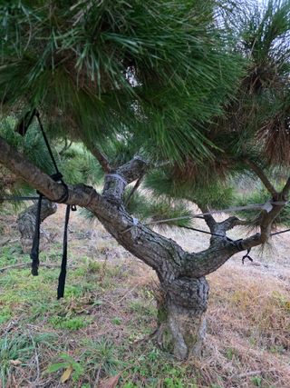 작은소나무님의 자유주제 · 사진전 작성글 사진