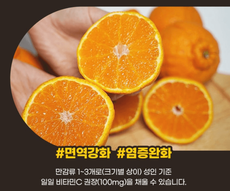 스피드번님의 장터 판매 상품 [제주직송 한라봉] 첨부 사진