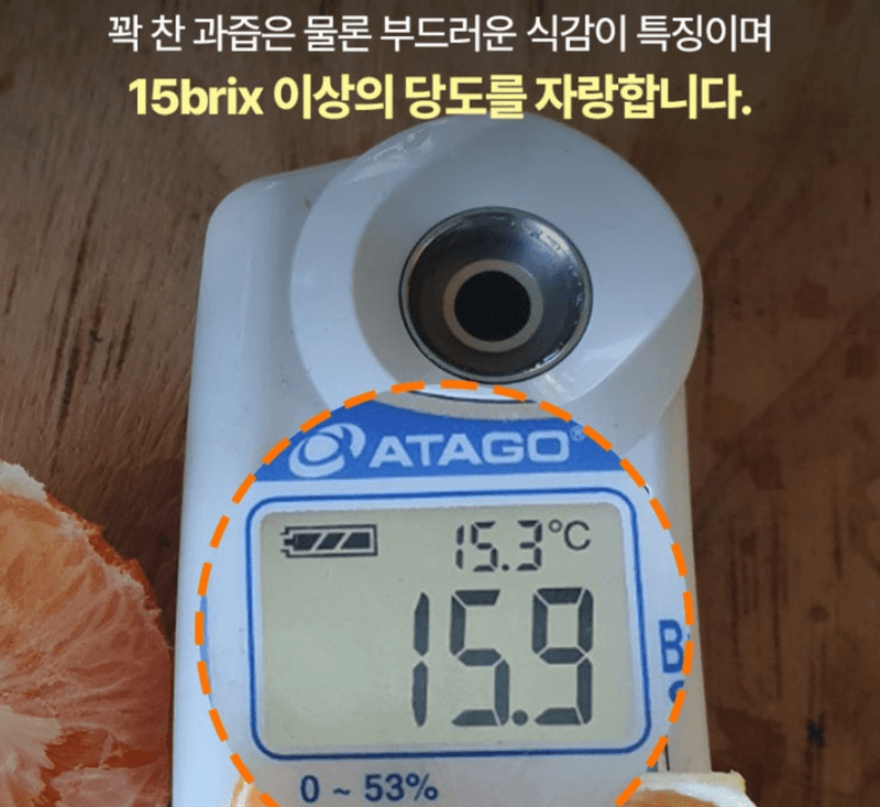 스피드번님의 장터 판매 상품 [제주도 레드향] 첨부 사진