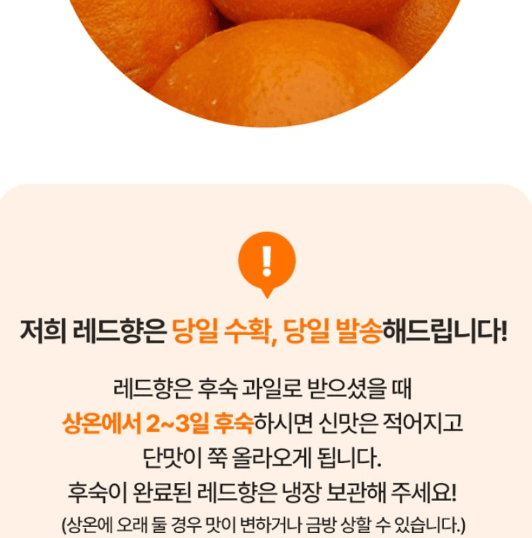 스피드번님의 장터 판매 상품 [제주도 레드향] 첨부 사진