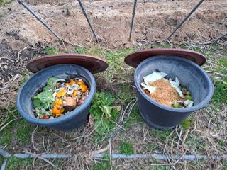 김중언님의 자유주제 · 자유게시판 작성글 사진