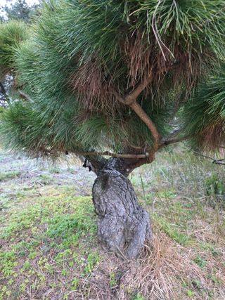 작은소나무님의 자유주제 · 사진전 작성글 사진