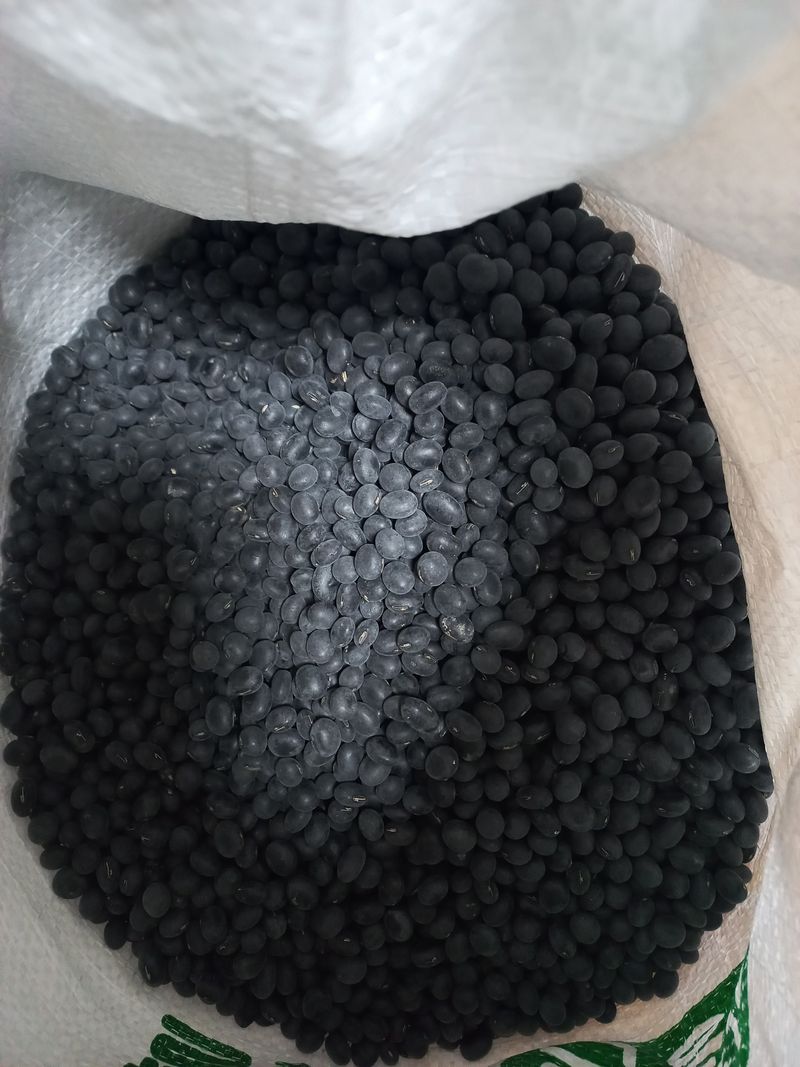 장터 상품 [서리태] 썸네일