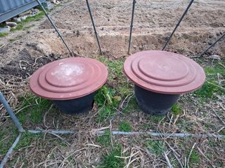 김중언님의 자유주제 · 자유게시판 작성글 사진