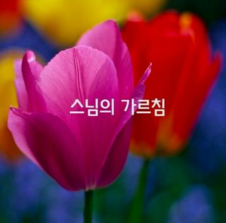 (팽나무*공주)님의 자유주제 · 자유게시판 작성글 사진
