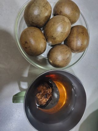 이연화님의 자유주제 · 자유게시판 작성글 사진