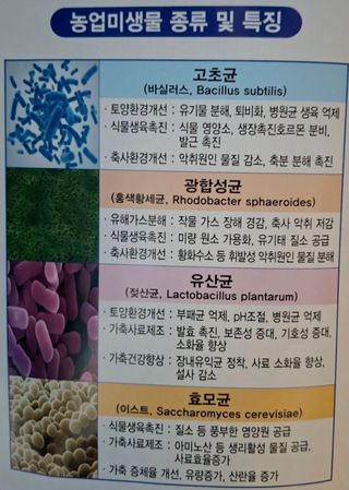 김중언님의 자유주제 · 자유게시판 작성글 사진