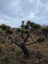 팜모닝 자유주제·사진전 게시글 이미지