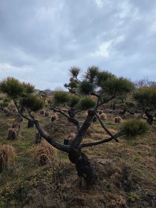 작은소나무님의 자유주제 · 사진전 작성글 사진