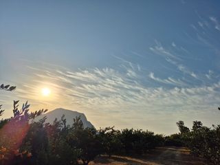 산방자연농원님의 자유주제 · 자유게시판 작성글 사진