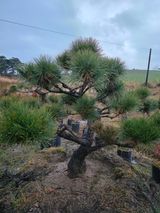 팜모닝 자유주제·사진전 게시글 이미지