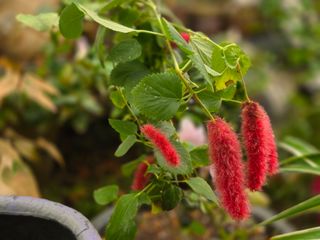 달맛햇복숭아농원님의 자유주제 · 사진전 작성글 사진