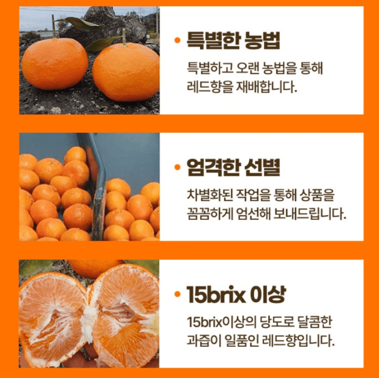 스피드번님의 장터 판매 상품 [제주도 레드향] 첨부 사진