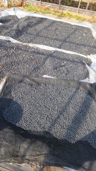 치악산골농부님의 작성글 사진