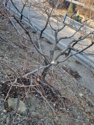 김용대님의 자유주제 · 자유게시판 작성글 사진