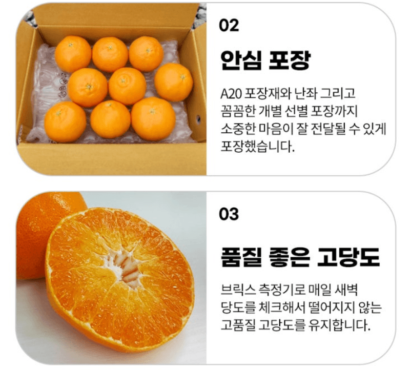 스피드번님의 장터 판매 상품 [제주직송 한라봉] 첨부 사진