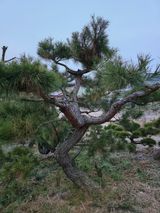 팜모닝 자유주제·사진전 게시글 이미지