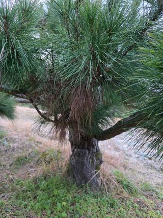 작은소나무님의 자유주제 · 사진전 작성글 사진