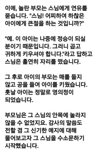 (팽나무*공주)님의 자유주제 · 자유게시판 작성글 사진