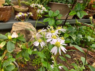 달맛햇복숭아농원님의 자유주제 · 사진전 작성글 사진