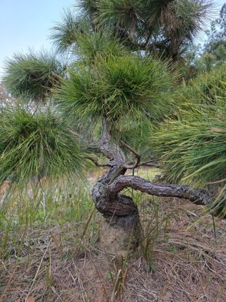 작은소나무님의 자유주제 · 사진전 작성글 사진