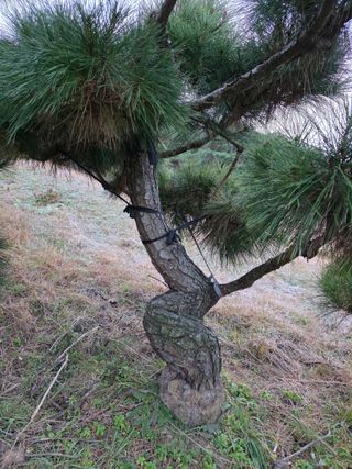 작은소나무님의 자유주제 · 사진전 작성글 사진