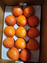 팜모닝 · 게시글 이미지