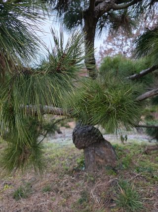 작은소나무님의 자유주제 · 사진전 작성글 사진