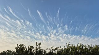 산방자연농원님의 자유주제 · 자유게시판 작성글 사진