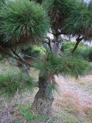작은소나무님의 자유주제 · 사진전 작성글 사진