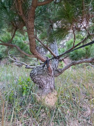 작은소나무님의 자유주제 · 사진전 작성글 사진