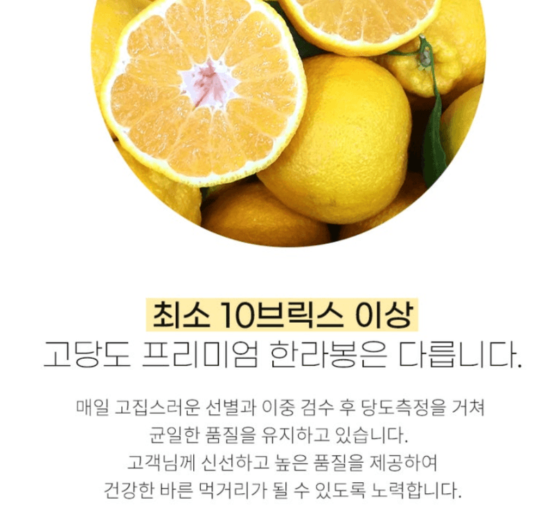 스피드번님의 장터 판매 상품 [제주직송 한라봉] 첨부 사진