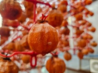 백용기님의 자유주제 · 자유게시판 작성글 사진