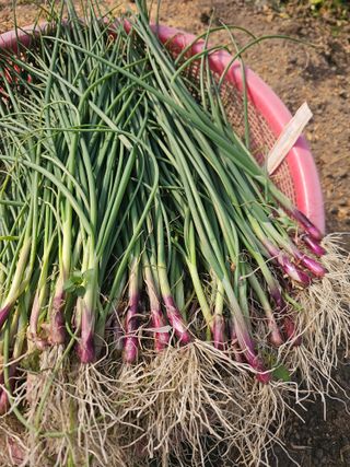 수기님의 자유주제 · 자유게시판 작성글 사진
