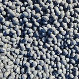 팜모닝 자유주제·자유게시판 게시글 이미지