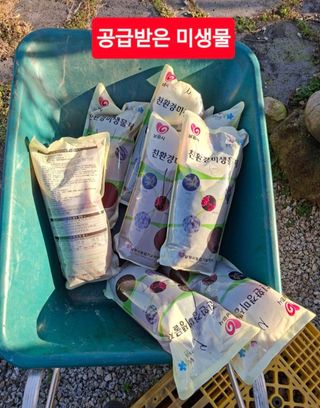 김중언님의 자유주제 · 자유게시판 작성글 사진