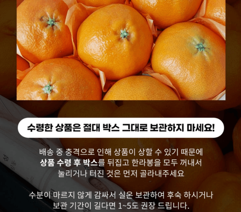 스피드번님의 장터 판매 상품 [제주직송 한라봉] 첨부 사진