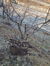 팜모닝 자유주제·자유게시판 게시글 이미지