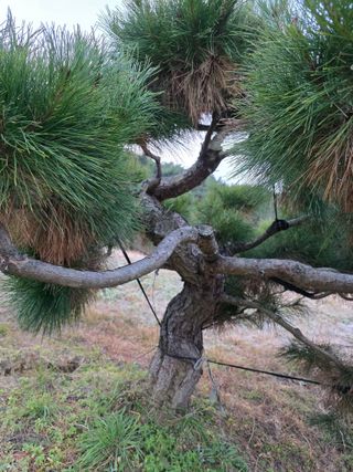작은소나무님의 자유주제 · 사진전 작성글 사진