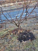 김용대님의 자유주제·자유게시판 작성글 사진